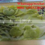 Directly Printing and High Resolution Ceramic Ground uv Printing Machine Price thumbnail-4