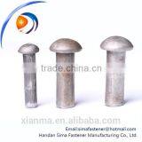 Round Head Steel Solid Rivet Nut With Factory Price thumbnail-4