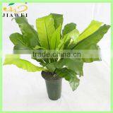 Artificial Plants and Fake Trees