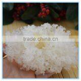 Silver Ear Mushroom Yin Er thumbnail-2