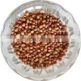 JSX Fresh cow peas Non-gmo China pink cowpea