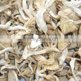 Dried Hot Sell Oyster Mushroom thumbnail-2