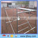 Q235 Ladder Scaffolding for Sale /building thumbnail-1