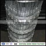Fence Mesh Chicken Wire Mesh Electric Fence Pvc Cattle Fences