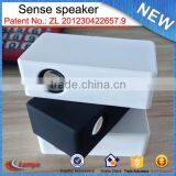 China Supplier Wholesale Amplifier Dustproof Mutual Induction Speaker Pack in Gift Box thumbnail-3