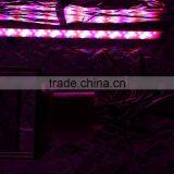 MarsHydro Indoor Plant Led Grow Bar Strip MarsPro Led Grow Light Bar thumbnail-6