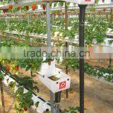 Plastic Strawberry Grow Box thumbnail-4