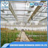 China Supplier Agricultural Multi Span Polycarbonate Greenhouse thumbnail-6