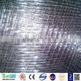 Electro Galvanized Welded Wire Mesh for Building Construction