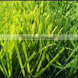 (A6-50J114)2013 Popular Modern Durable Soccer Grass thumbnail-1