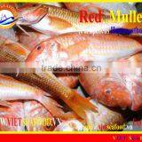 FROZEN W/R RED MULLET thumbnail-5