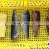 Seafood Fresh Herring Fillet IQF thumbnail-1