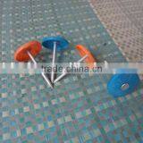 Torx Roofing Screw Nails With Plastic Caps China Supplier on Hot Sale thumbnail-4