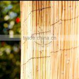 Reed Fence thumbnail-1