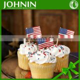 Hot Sale Birthday Party Toothpick Decoration Flag