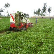 Groundnut Combine Harvester Self-propelled With 30hp Tractor thumbnail-4
