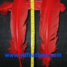 Red Turkey Plume Feather for Wholesale From China