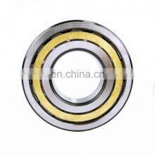 25*42.51*16mm Cylindrical Roller Bearing RSL183005 thumbnail-4