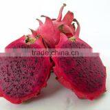 Dragon fruit Vietnam specialties - fresh dragon fruit for sale - red dragon fruit