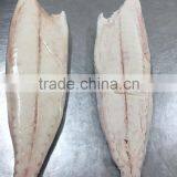 Frozen Oilfish Filets thumbnail-1