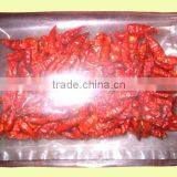DRIED CHILLI POWDER FROM VIET NAM thumbnail-2