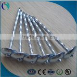 twisted shank roofing nails screw roofing