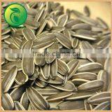 Chinese Food Sunflower Seeds New Product 2016 thumbnail-2