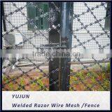Razor Sharp Diamond Mesh Erected as a Complete Security Fence