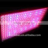 EverGrow 288*3 600W 3w Chips High Power Led Lights for Plants