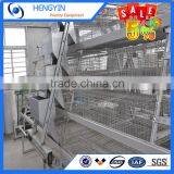 Hot Selling in South Africa A Type Layer Cage for Sale thumbnail-2