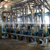 Flour Semolina Mill thumbnail-1