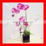 Decorative potted orchid flower - artificial arrangement