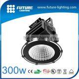 China Waterproof IP65 Exterior Commercial LED High Bay Lighting 300W With Meanwell Driver Distributor