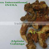 Alpinia Galanga /Alpinia Officinarum /Galangal