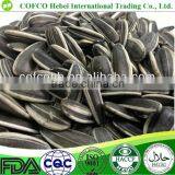 2016 Roasted Sunflower Seeds thumbnail-1