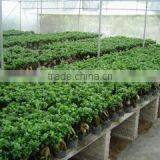 Zhangzhou Wisdom Industry & Trade Co., Ltd. company overview - view 2 thumbnail