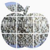 Lightweight 3-6mm,4-8mm Etc Expanded Perlite for Gardening and Hydroponics , Construction