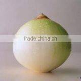 Станок для очистки лука из нержавеющей стали по заводской цене