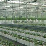 Greenhouse Farm for Sale thumbnail-1