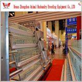 Hot Selling Good Quality Automatic Chicken Egg Layer Cage thumbnail-4