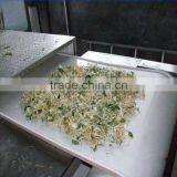 High Performance Moringa Leaf Drying Machine,tea Leaf Drying Machine,electric Fruit & Tea Leaves Drying Machine With Lower Cost thumbnail-4