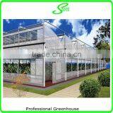 Hot Sale Agriculture Polycarbonate Greenhouse Shade Green House Design thumbnail-3