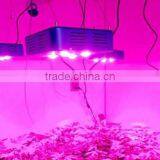 Cob Grow Led Lights 300w Led Grow Light Full Spectrum for Medical Plants thumbnail-6