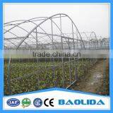 Hot Sale Poly Tunnel Greenhouse for Sale thumbnail-4
