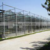 Large Glass Agricultural Greenhouses/Glass Greenhouses Used thumbnail-3