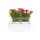 2014 Newest Office Decoration Mini Smart Garden thumbnail-6