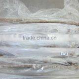 Frozen Belt Fish thumbnail-5