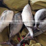 Sanfeng Seafood Canned Bonito Tuna thumbnail-1