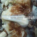 Frozen Giant Squid Neck thumbnail-1