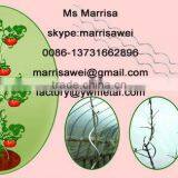 Tomato Growing Wire